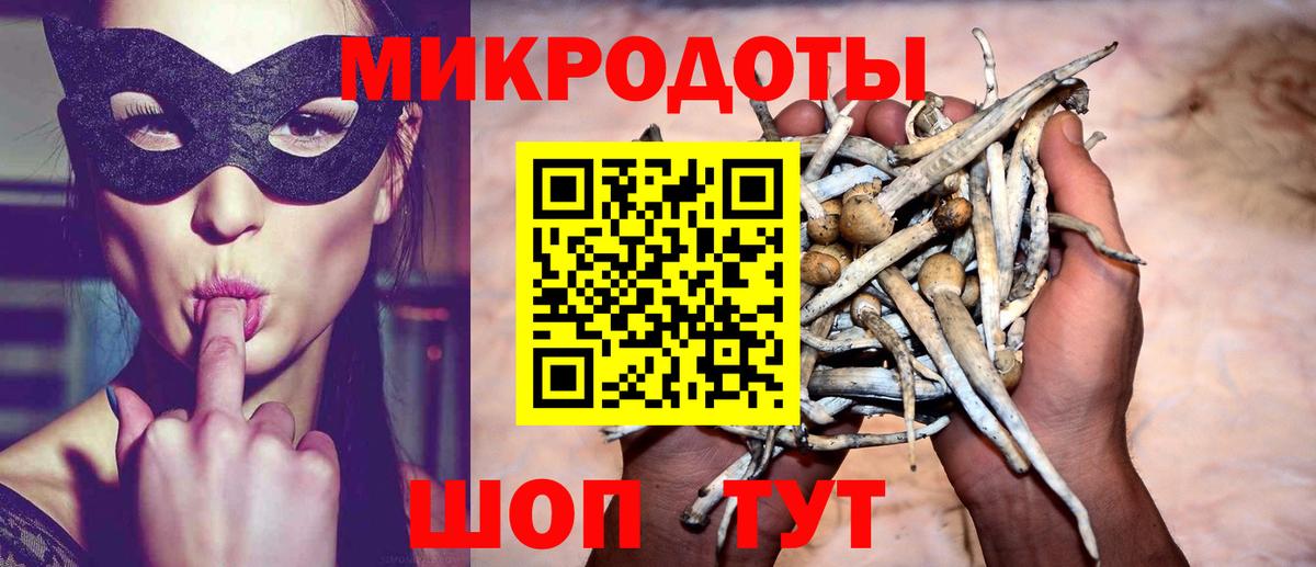 Шатура  Псилоцибиновые грибы ЛСД  Вход с VPN 